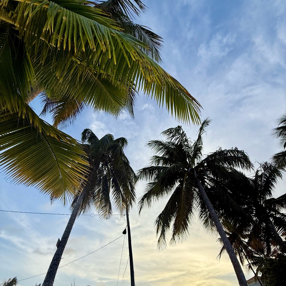 Meet your Posher, Emerie